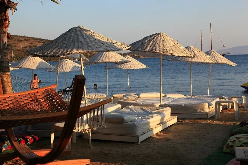 Okaliptus Otel Bitez