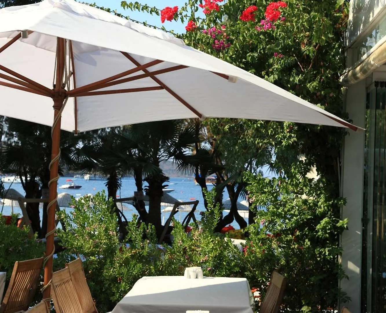 Okaliptus Otel Bitez