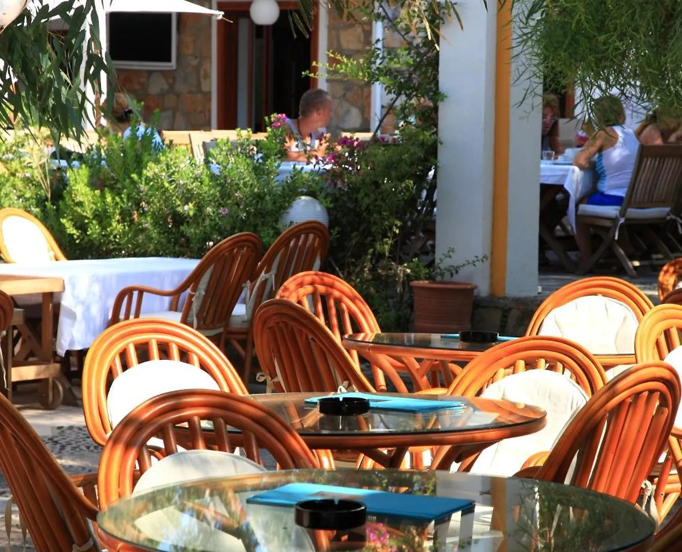 Okaliptus Otel Bitez