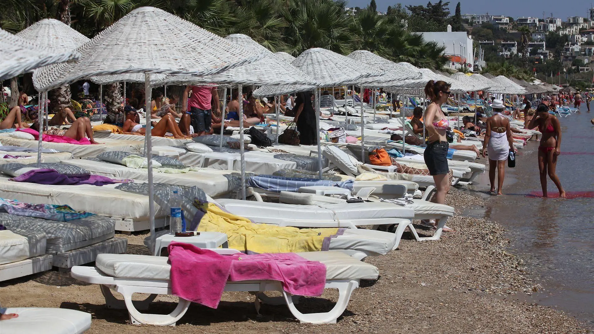 Okaliptus Otel Bitez Türkiye
