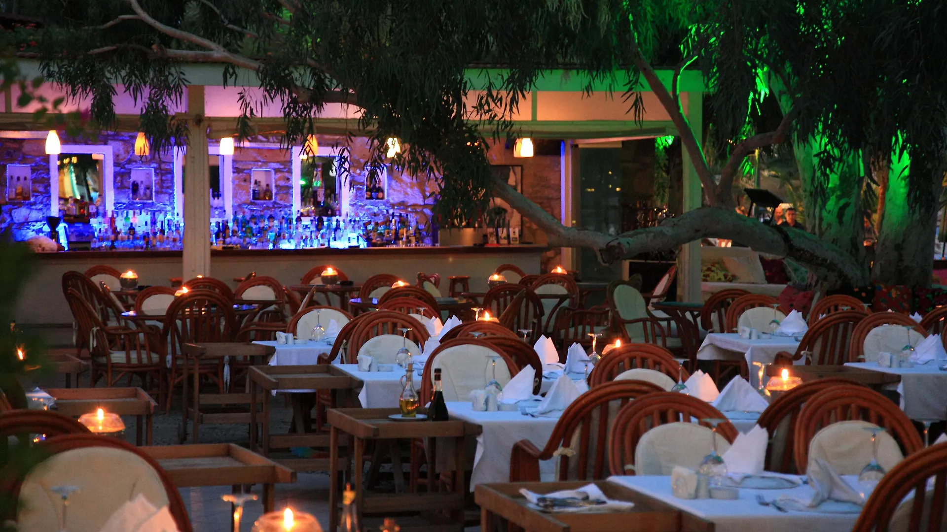 Okaliptus Otel Bitez Hotel