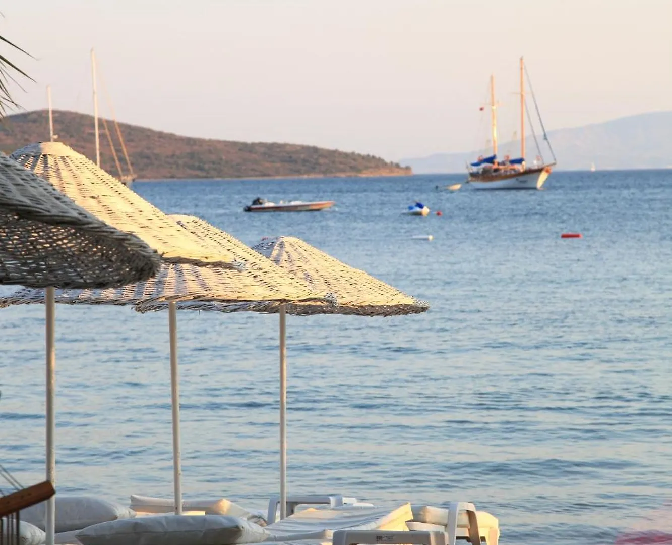 Okaliptus Otel Bitez