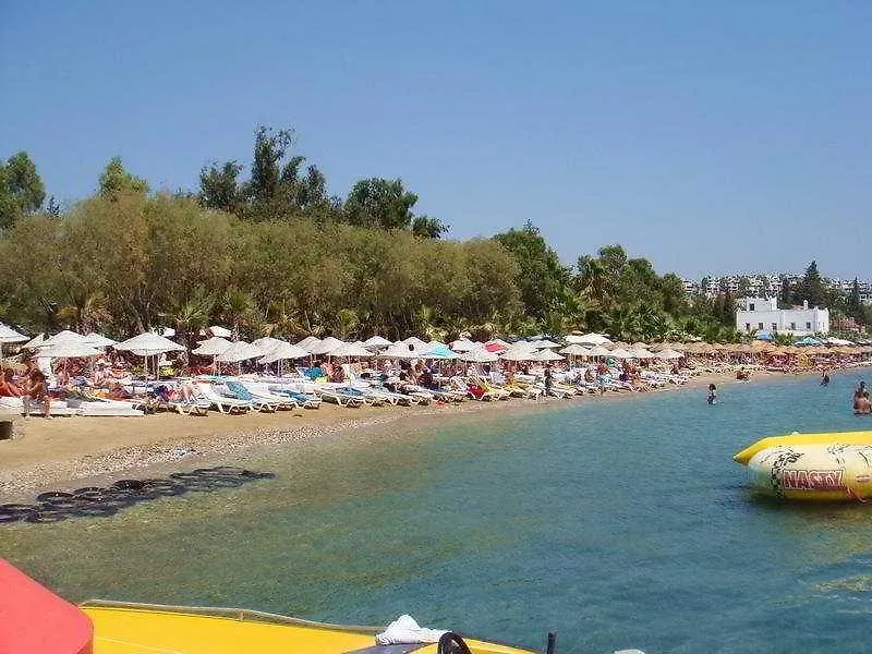 Okaliptus Otel Bitez