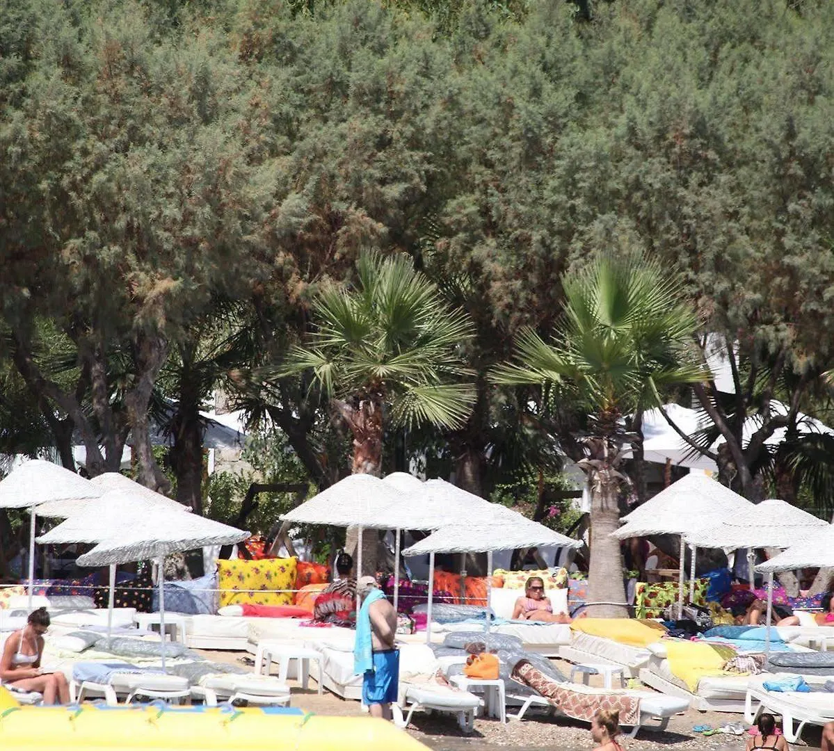 Okaliptus Otel Bitez 4*,  Turkey